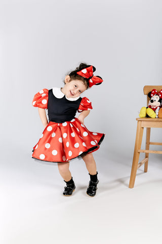 Minnie Mouse Inspired Girl Costume, Minnie Mouse Inspired Dress, Tulle Birthday Dress, Toddler Birthday  Dress