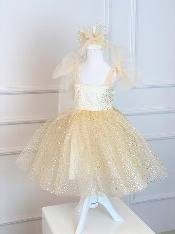 Girl Tulle Birthday Dress, Photoshoot Star Dress, Champagne Flower  Dress, Tulle Dress, Toddler Outfit, Infant 1st Gown, Pageant Dress,