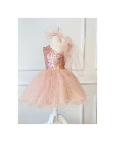 Birthday Powder Girl Tutu Dress, Salmon Glitter Princess Gown, Toddler Wedding Dress, Flower Pink Rose Girl Outfit, Photoshoot Dress