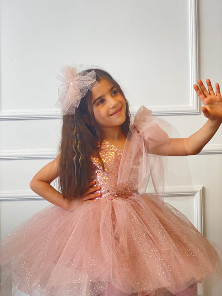 Birthday Powder Girl Tutu Dress, Salmon Glitter Princess Gown, Toddler Wedding Dress, Flower Pink Rose Girl Outfit, Photoshoot Dress